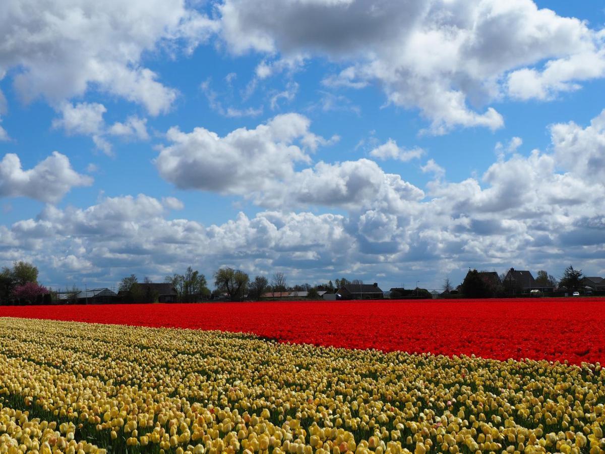 Polderlodge Hillegom Dış mekan fotoğraf