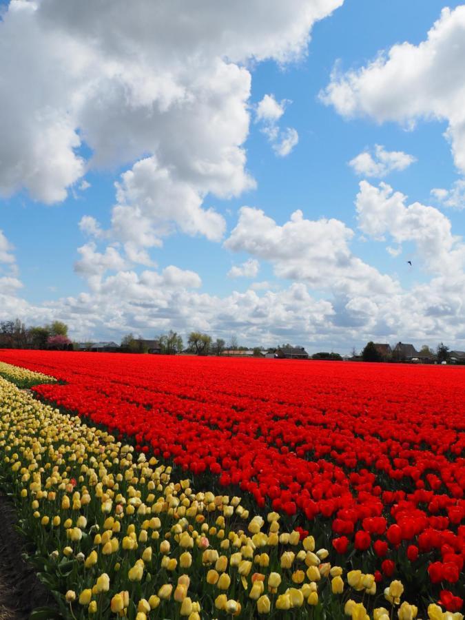 Polderlodge Hillegom Dış mekan fotoğraf