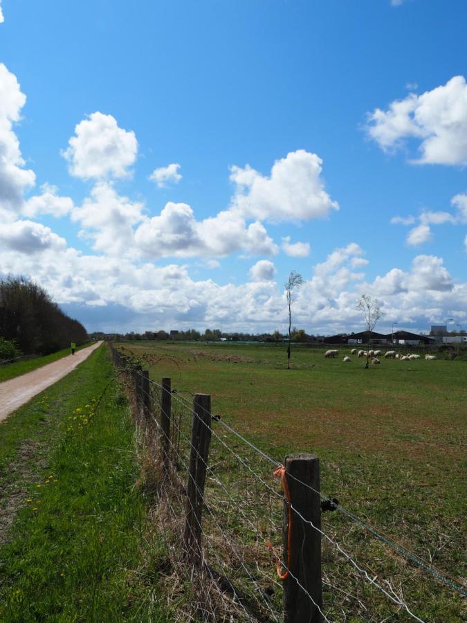 Polderlodge Hillegom Dış mekan fotoğraf